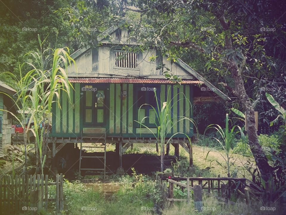 rumah