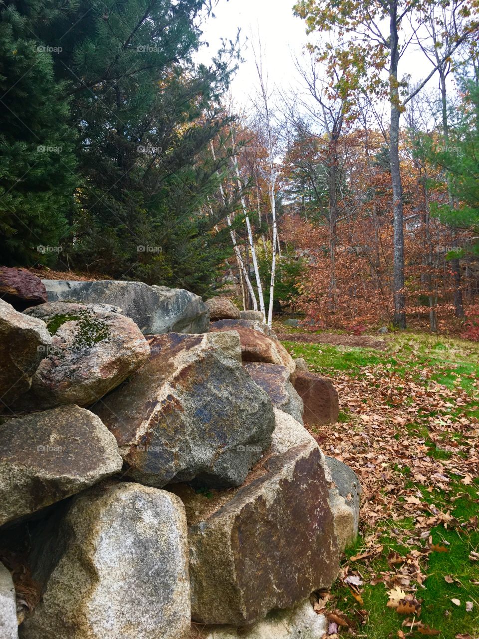 Stone wall Jackson NH