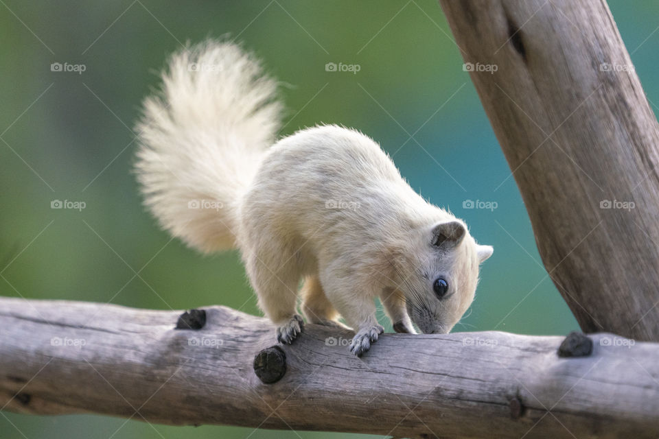 Exploring the log 