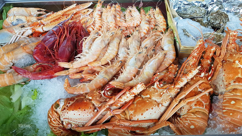 Seafood in Spain