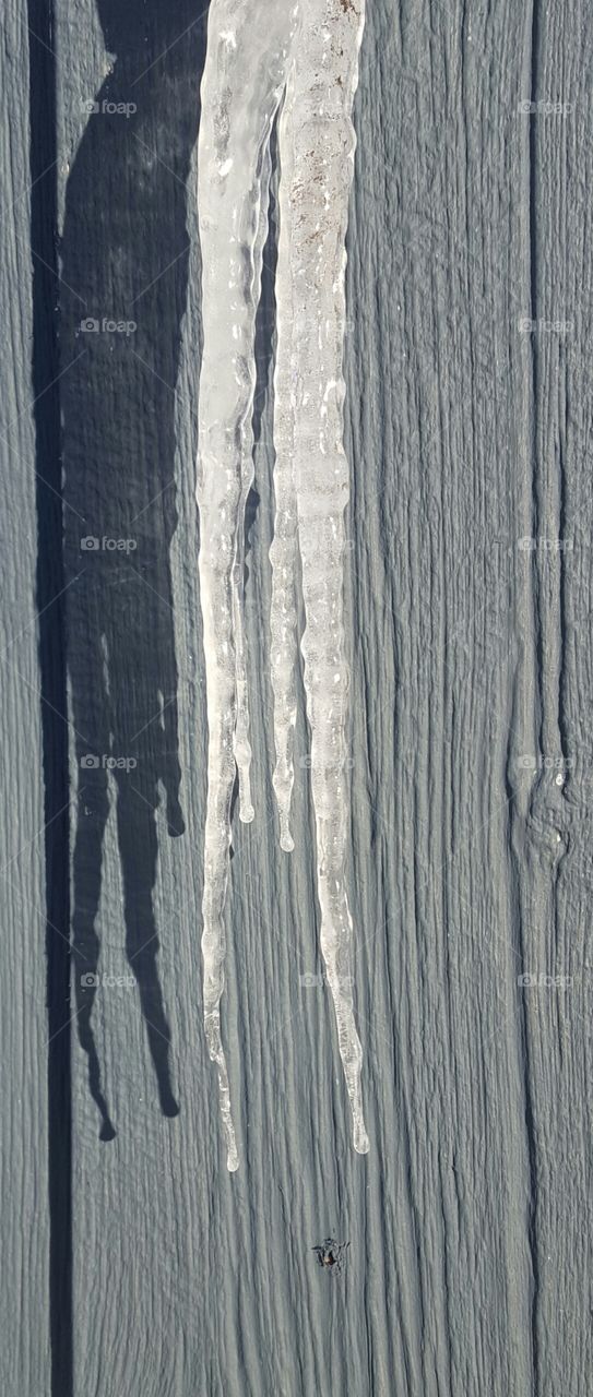icicles