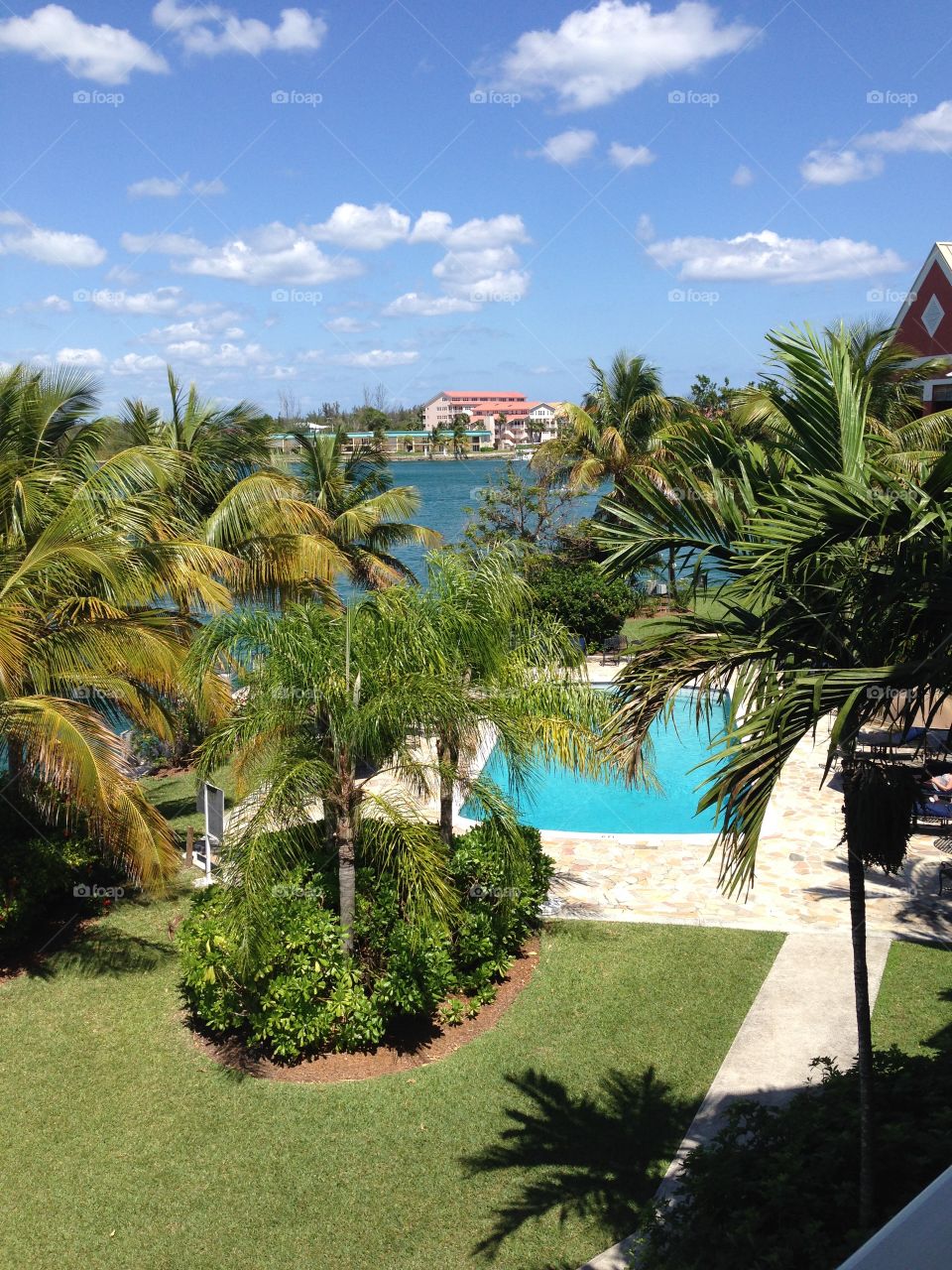 Pool and Ocean. Occasionally a palm tree.   Freeport, Bahamas