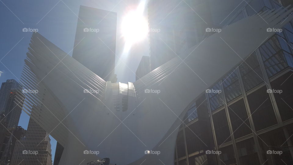 Oculus at World Trade Center,    the next morning