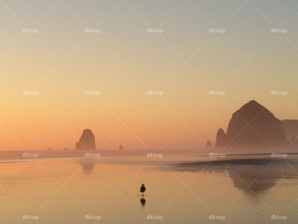 Cannon Beach, OR