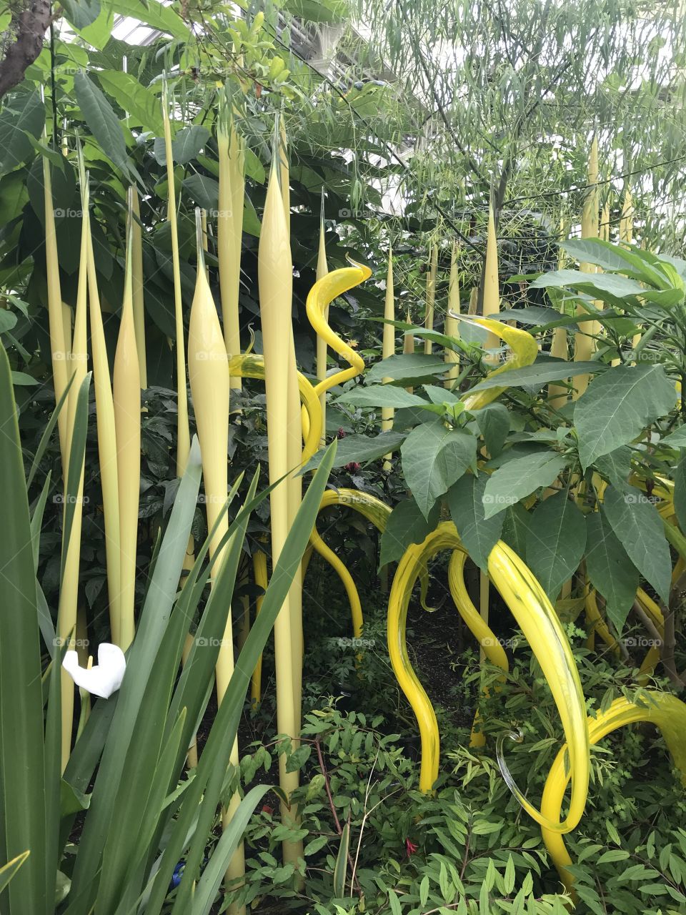 Yellow glass Chihuly sculpture at Kew Gardens