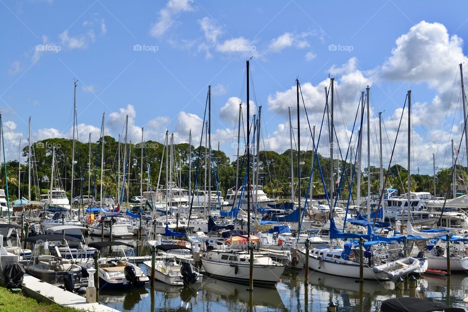 Several sailboats parked on the water in a marina in front of tress and a blue sky with white puffy clouds