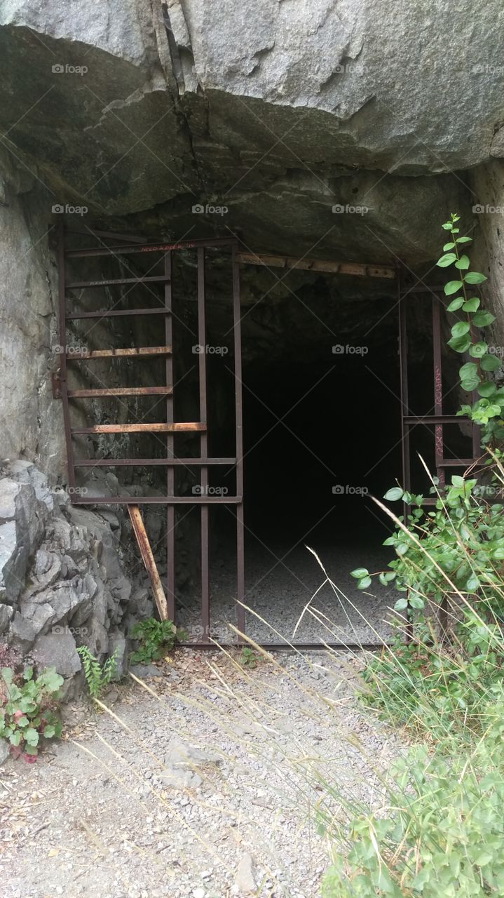 broken gate in front of abandoned tunnel