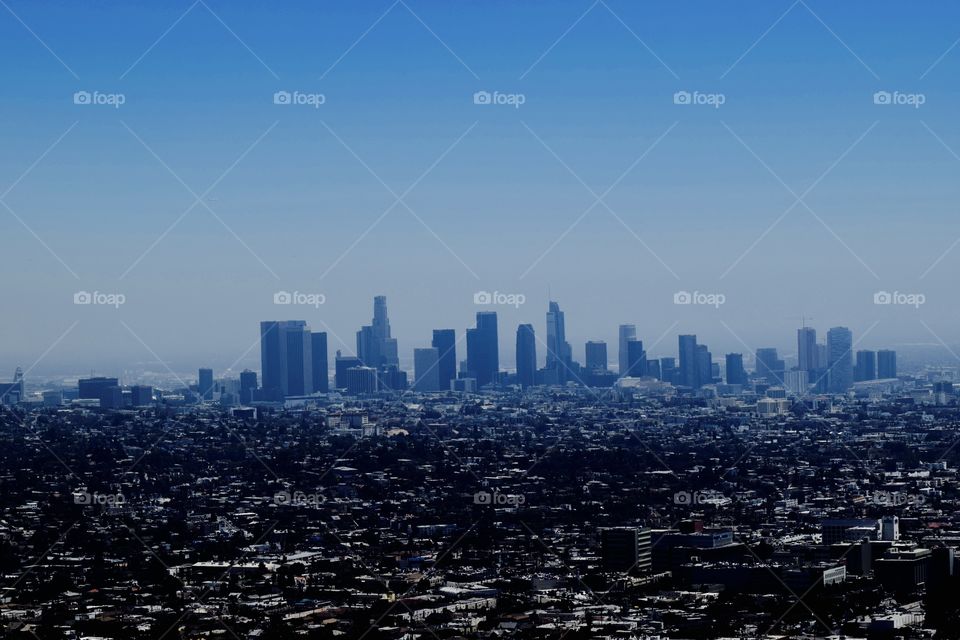 The City of Los Angeles