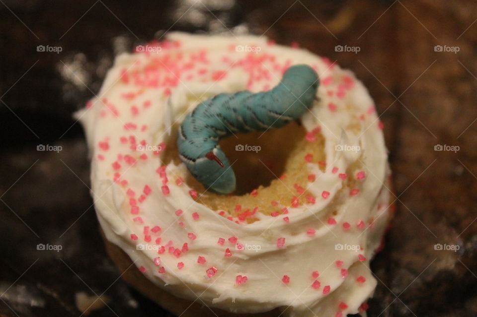 Turquoise blue hornworm with a red horn lounging on an iced vanilla donut with pink sprinkles. 