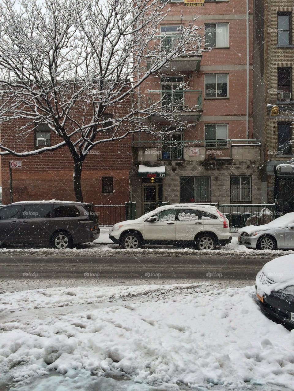 Snowy day in Brooklyn 