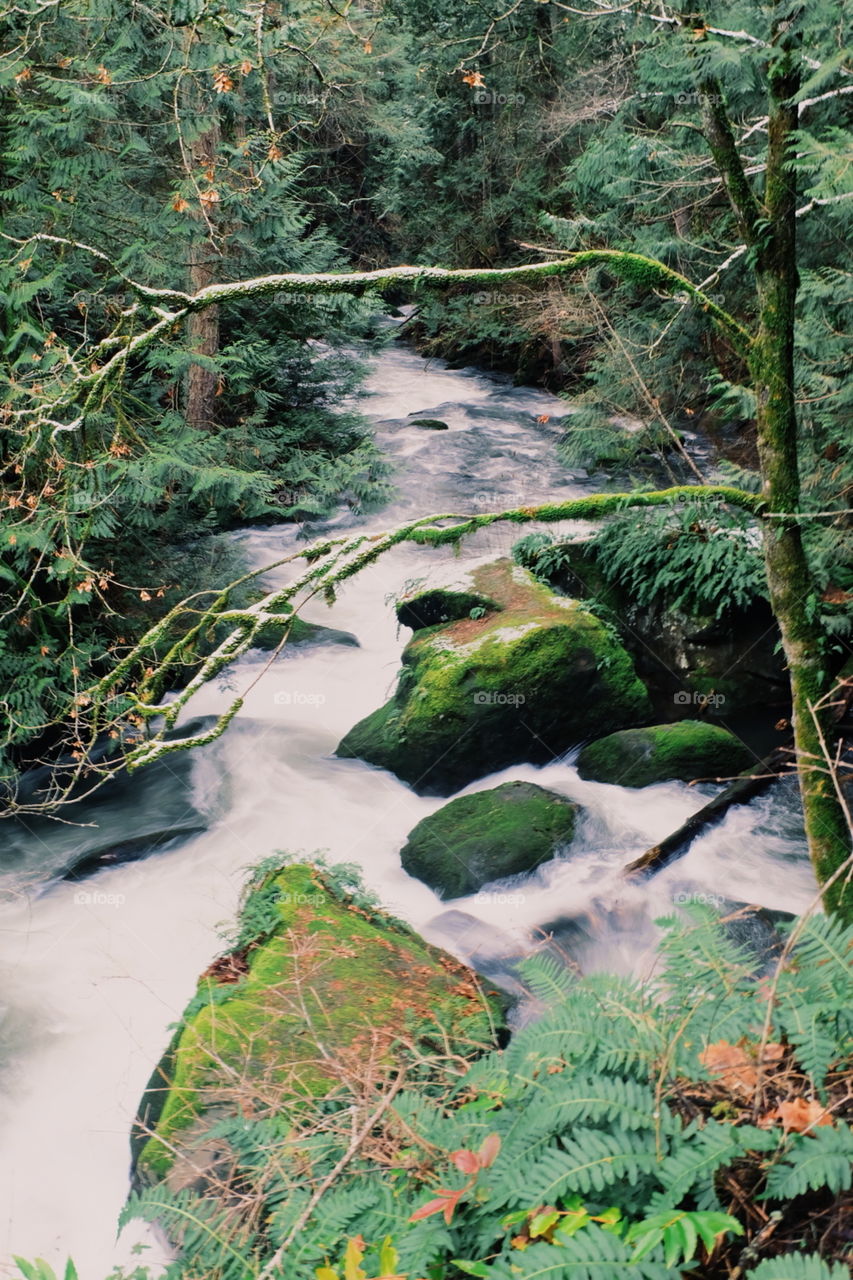 Long Exposure River