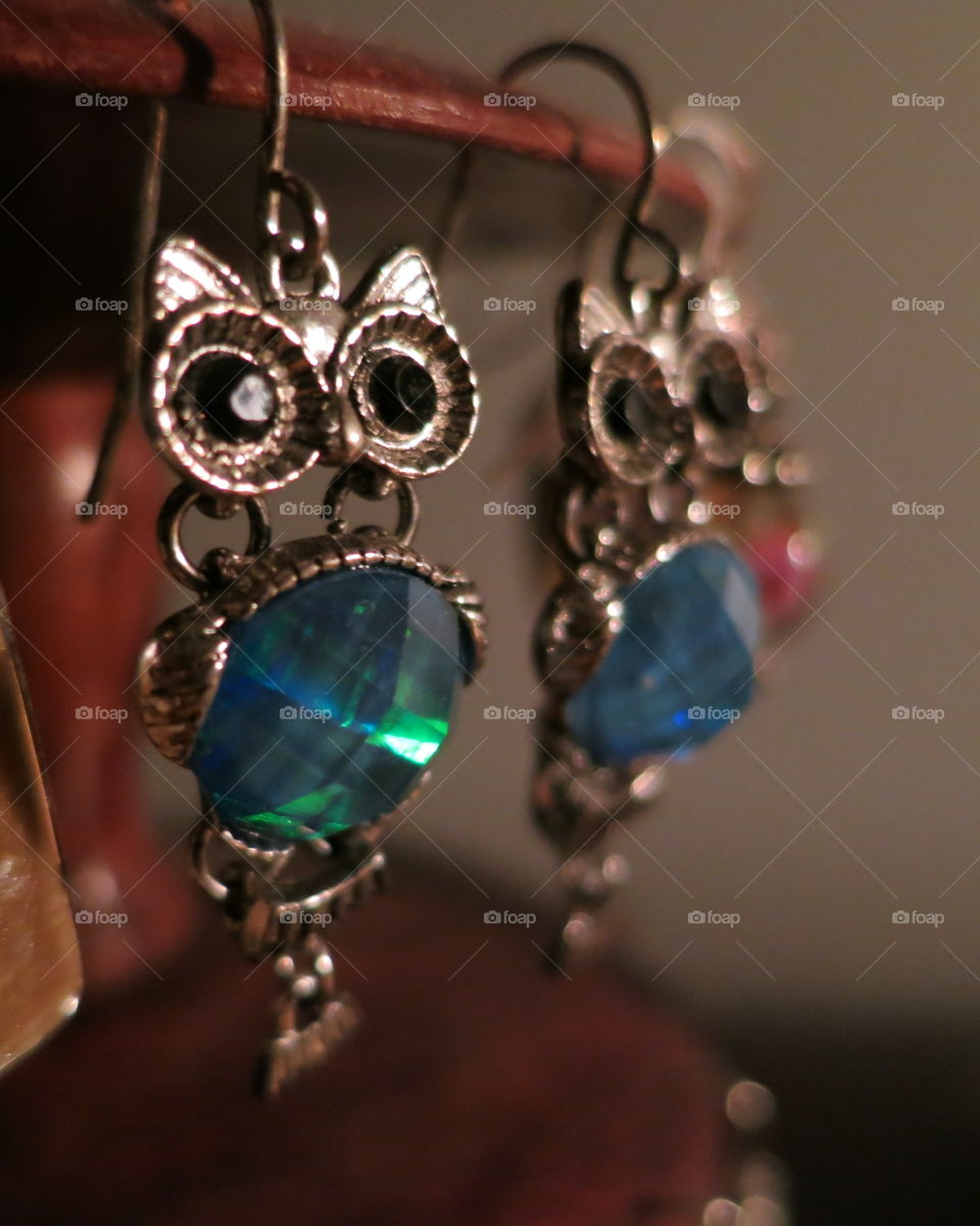 Owl Earrings!
