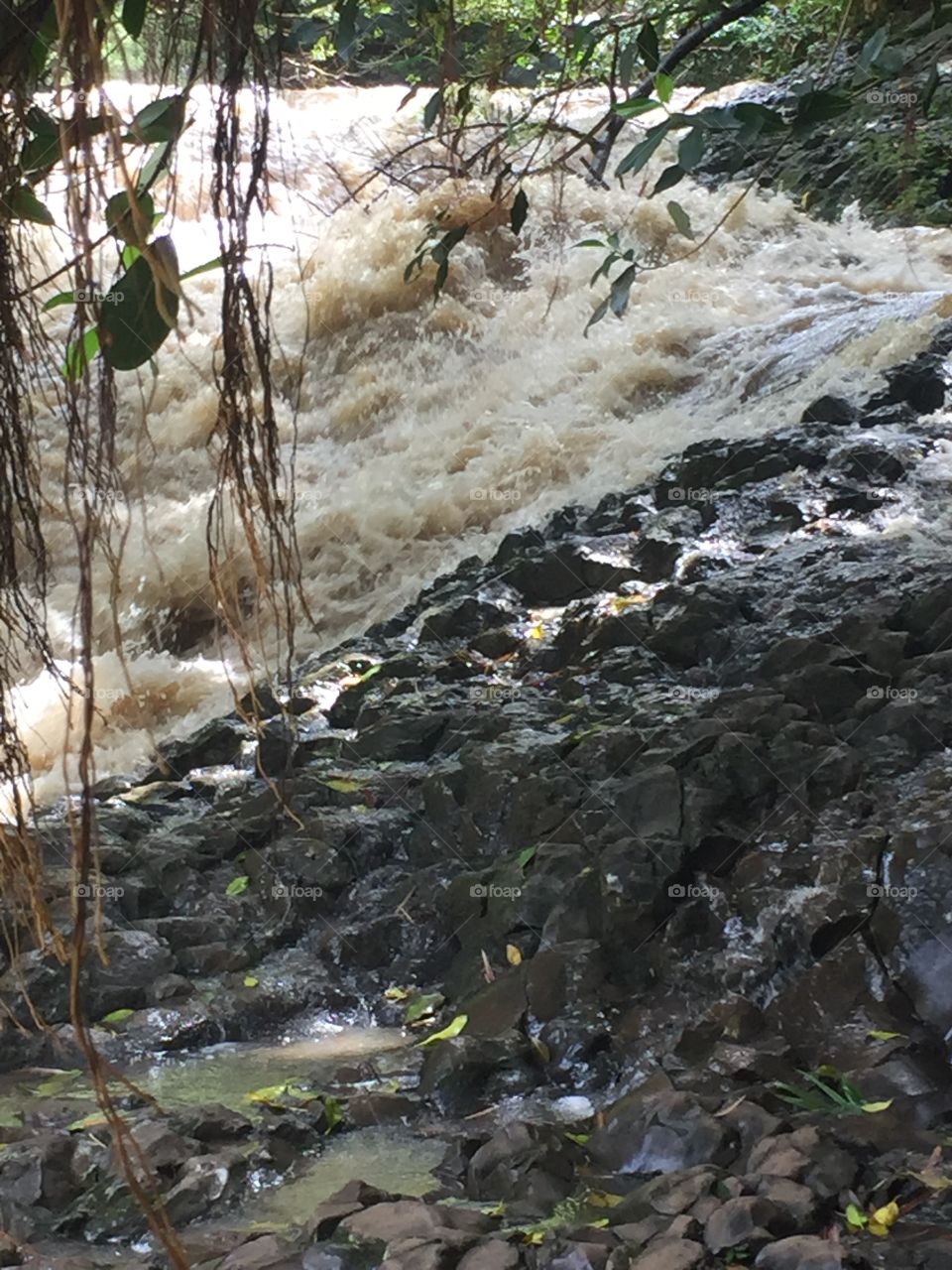 Maui waterfall 