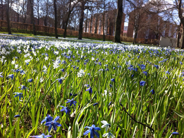 SPRINGTIME