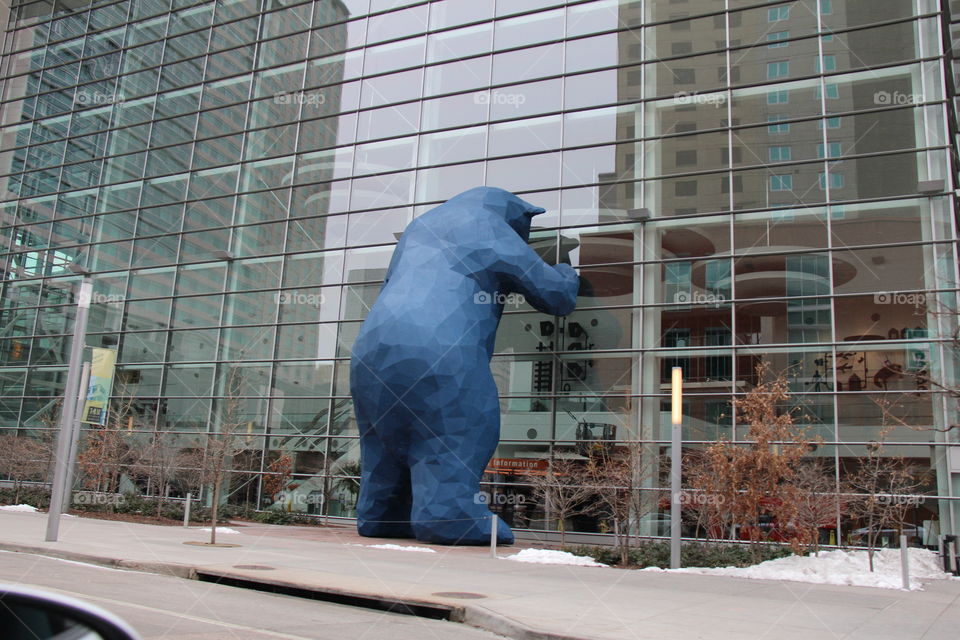 Bear holding building