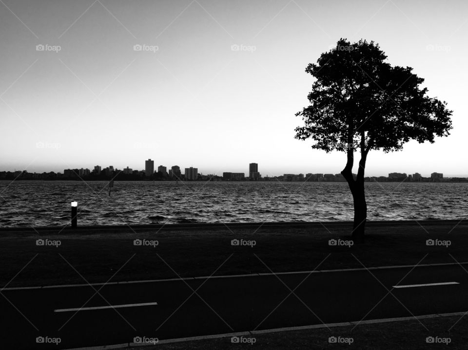 Monochrome image of riverside can be seen a tree, , a light, cycling lane and cityscape.