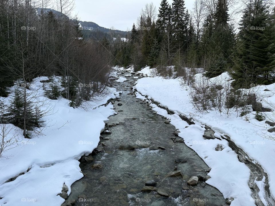 By the river in winter 