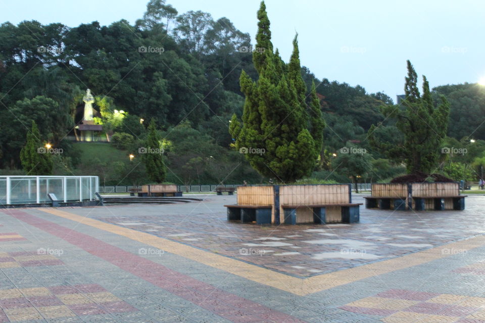 Tree, Water, Building, Travel, Architecture