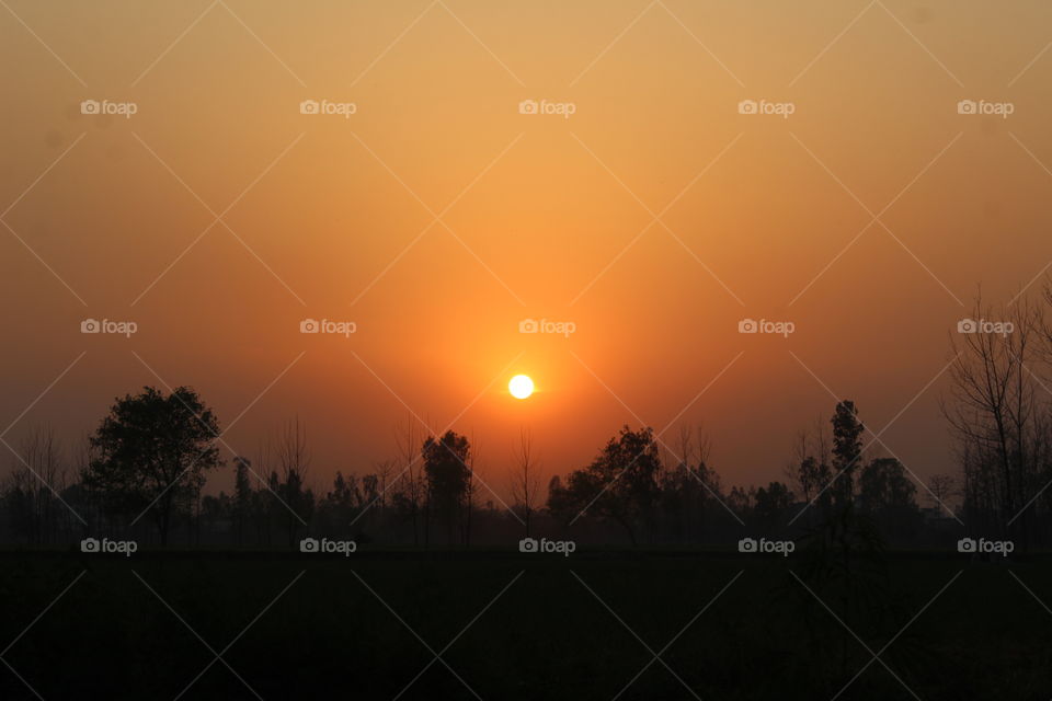 sun set spring season a good evening time