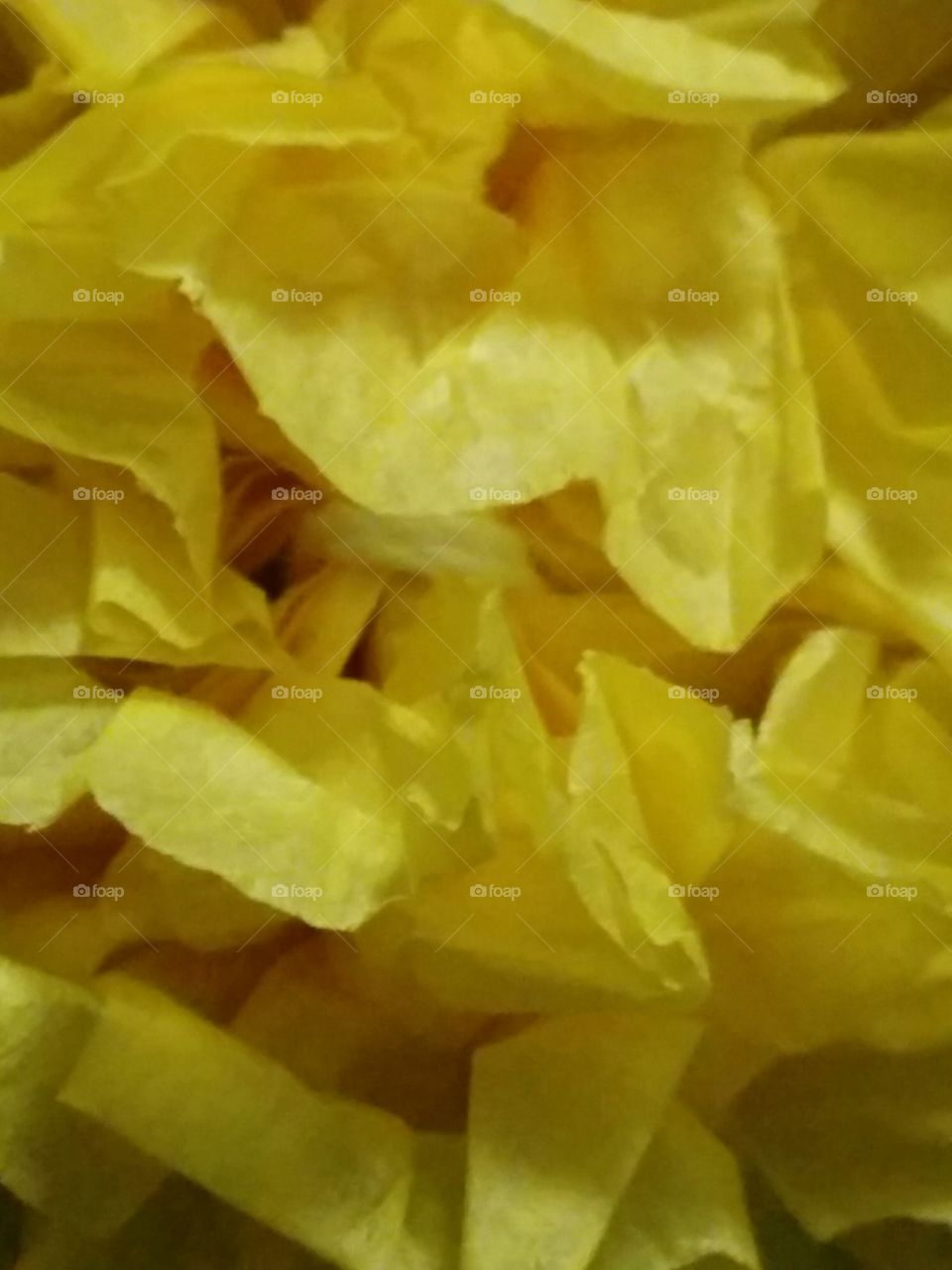 Yellow Ruffle