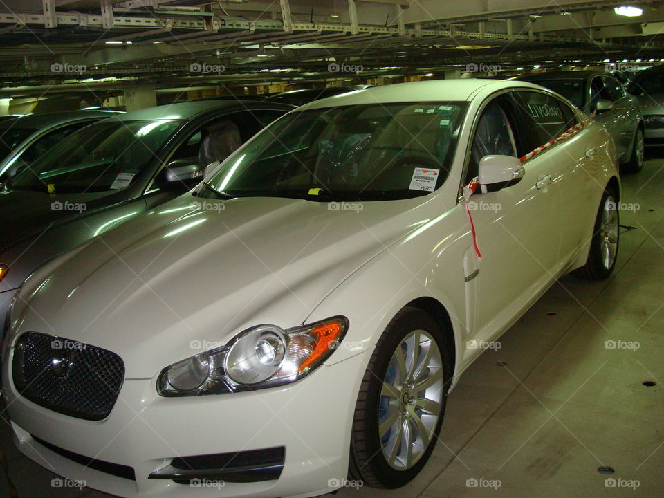 # Jaguar# white# parked# lashed on ship# transport#