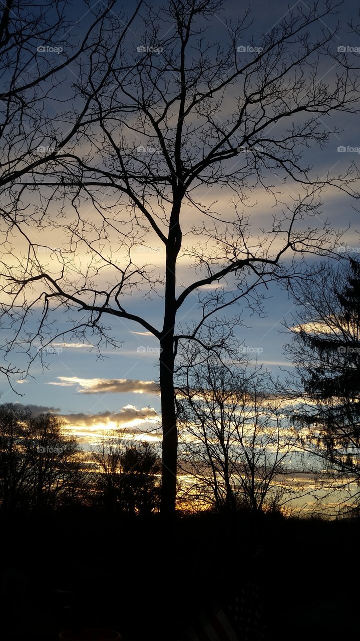 point of view from my front porch is looking out at the amazing afternoon sky and clouds