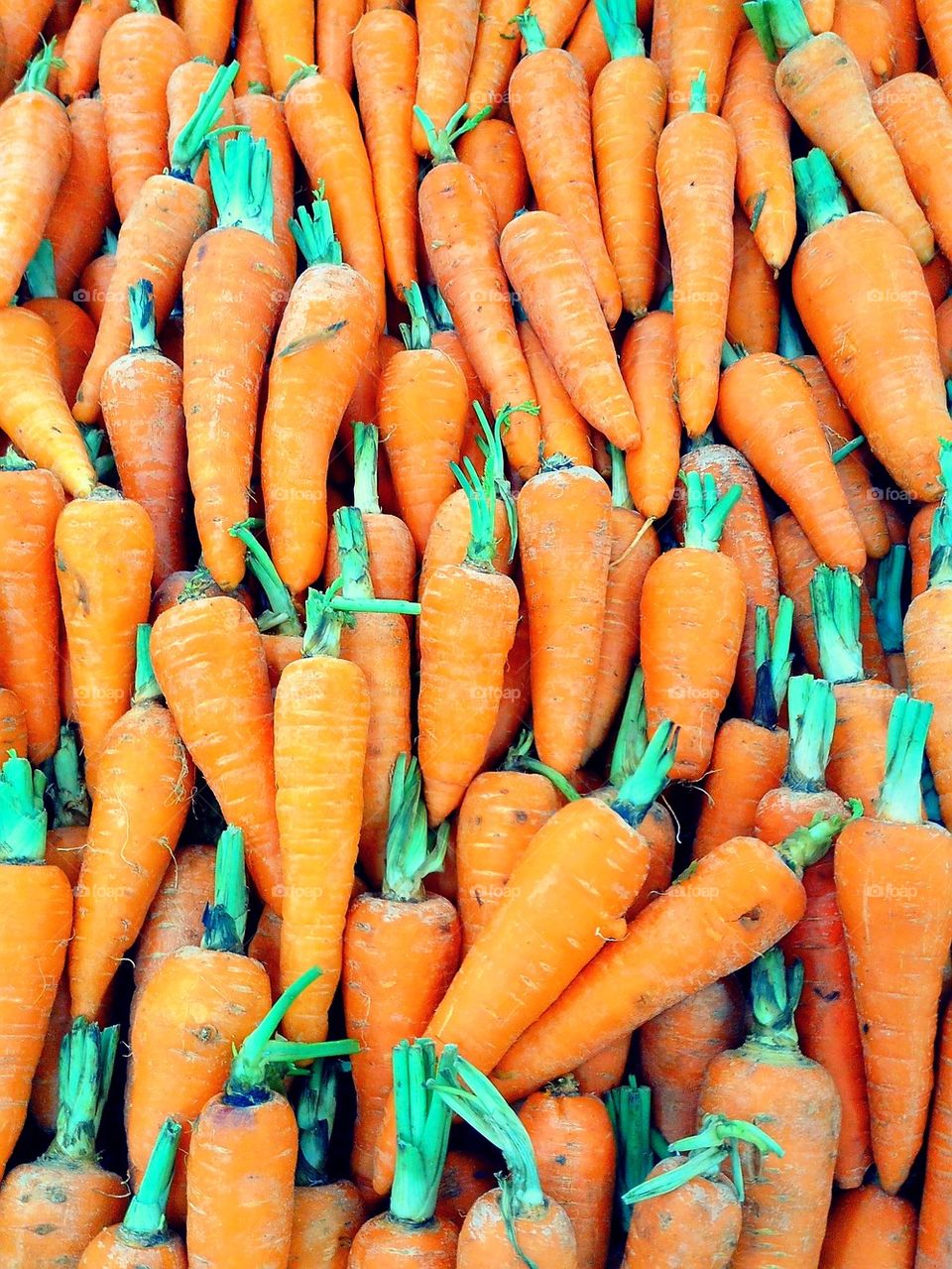 carrots