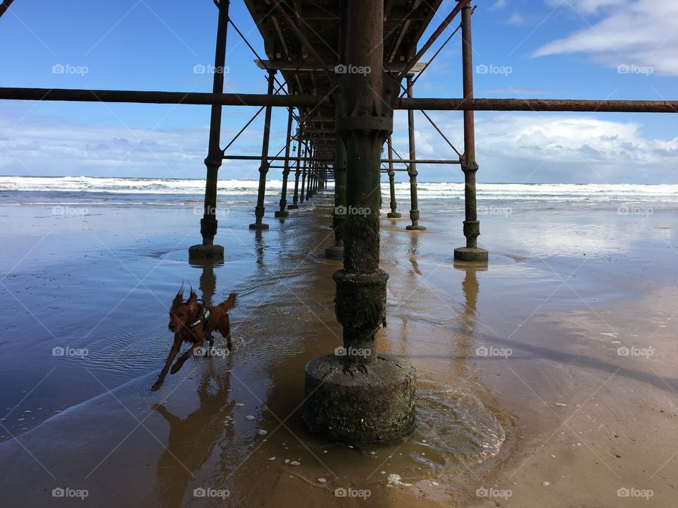 Trying to take a photo under the pier when Quinn decides to sprint into the photo 😂