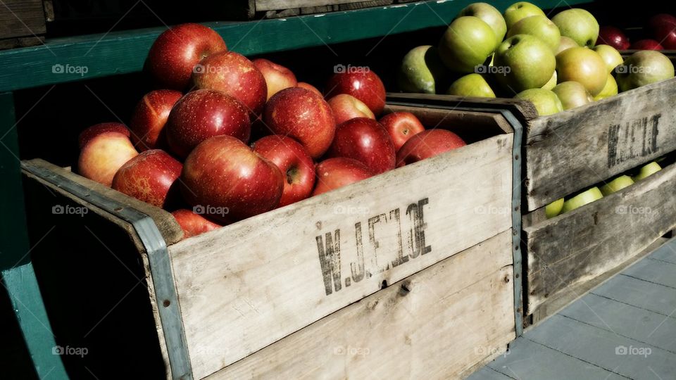 North Carolina Apple Harvest 