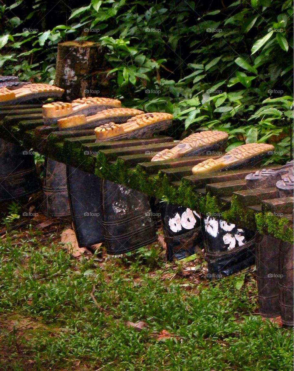 Mud Boots Awaiting the Jungle Trek