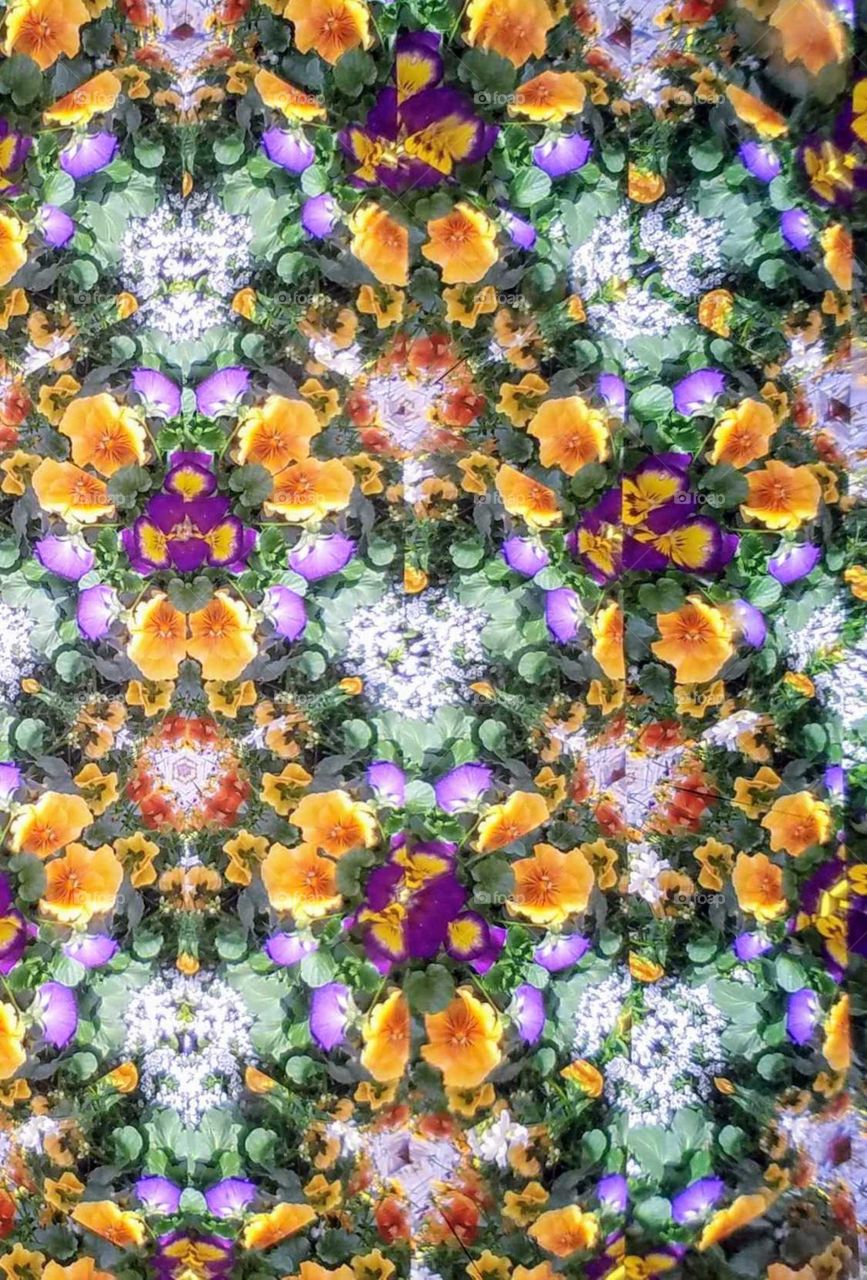 Kaleidoscope Pansy floral design