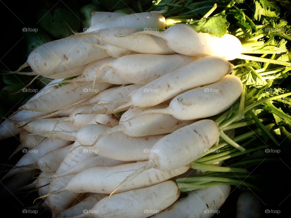 Fresh Radish kept ready at market place.
