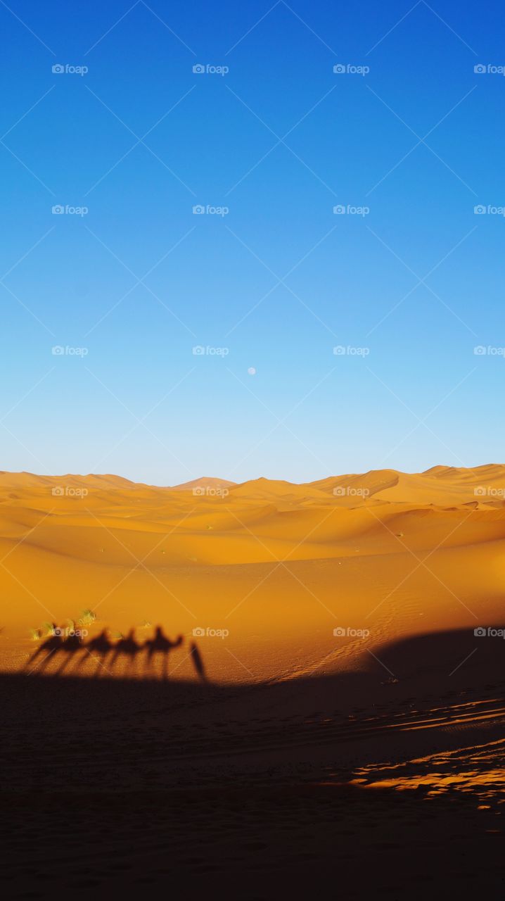 Sahara Wüste in Marokko 