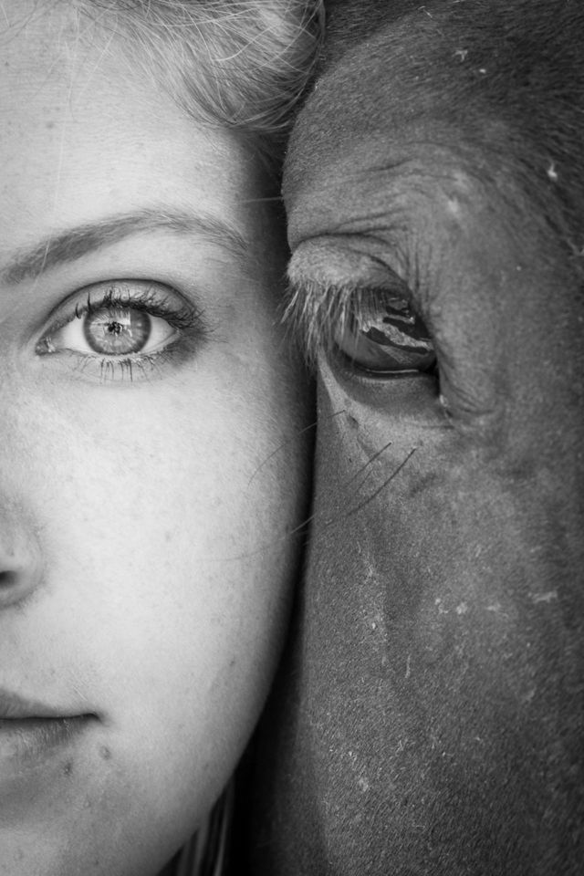 Eye