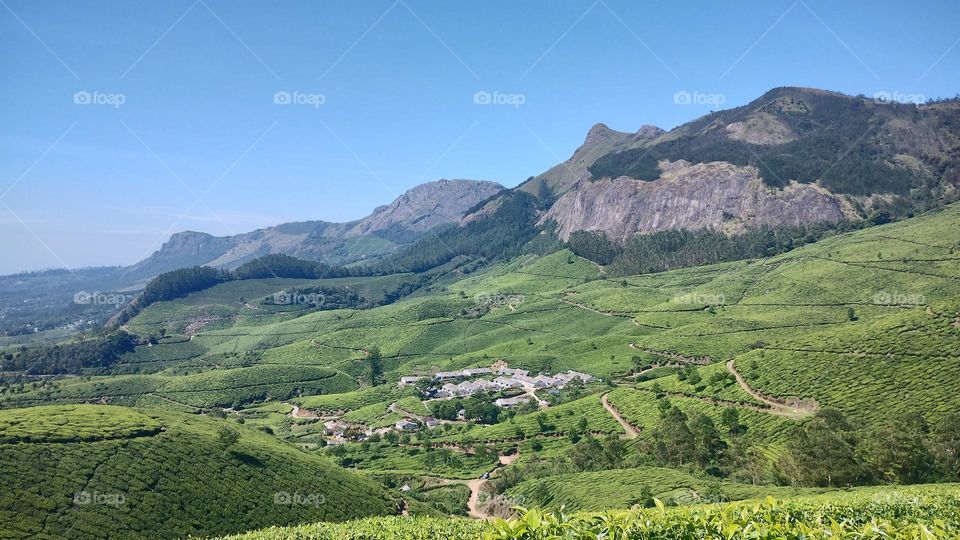 "Nature is pleased with simplicity." 