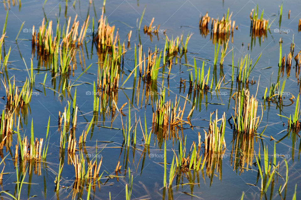 Albufera Lagoon, Spain
