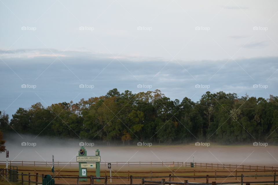 Foggy Night in Florida
