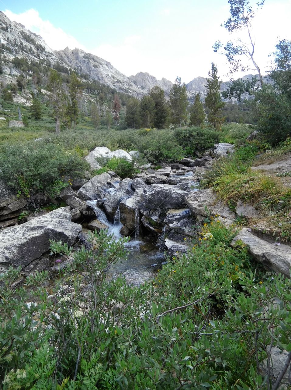 mountain stream in the Ruby Mountains of Nevada