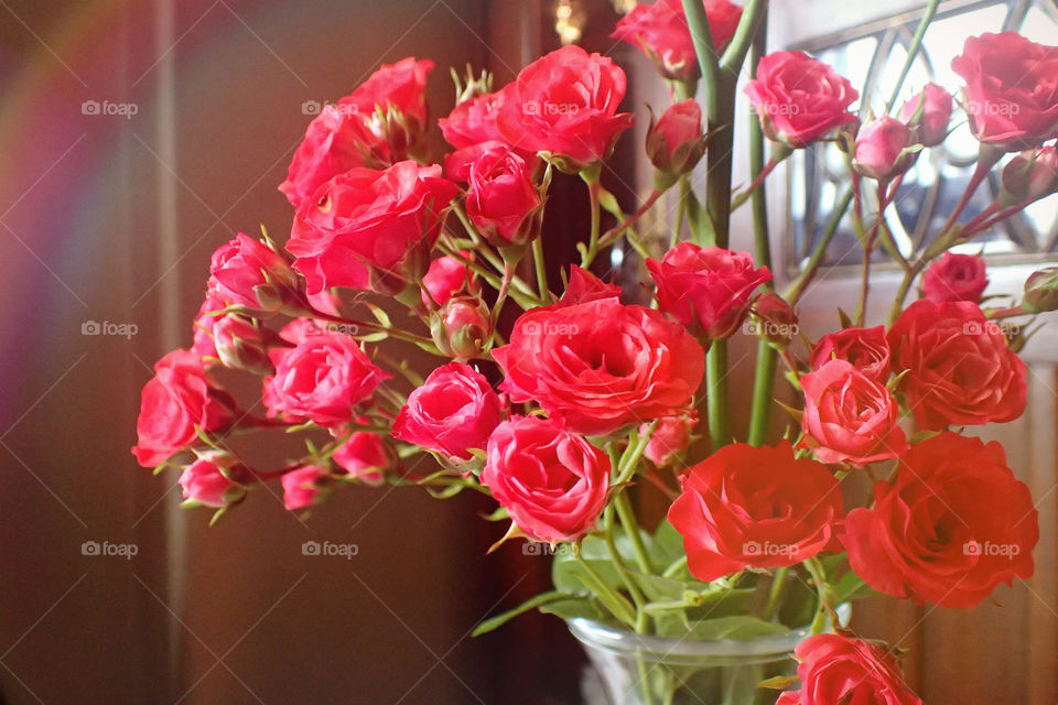 Red roses vintage style photo romantic