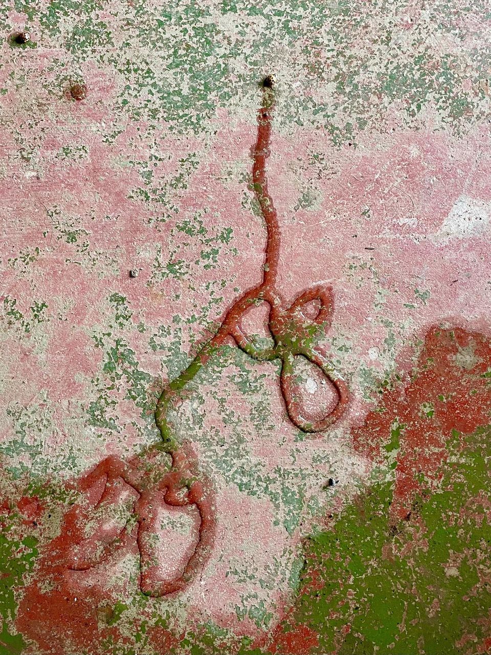 The journey of a Lady Bug