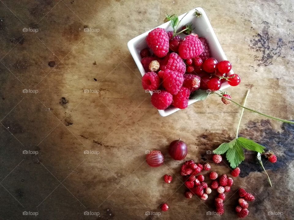 High angle view of berries