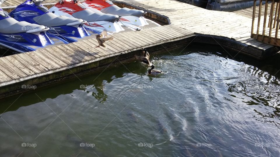 Water, River, No Person, Lake, Calamity