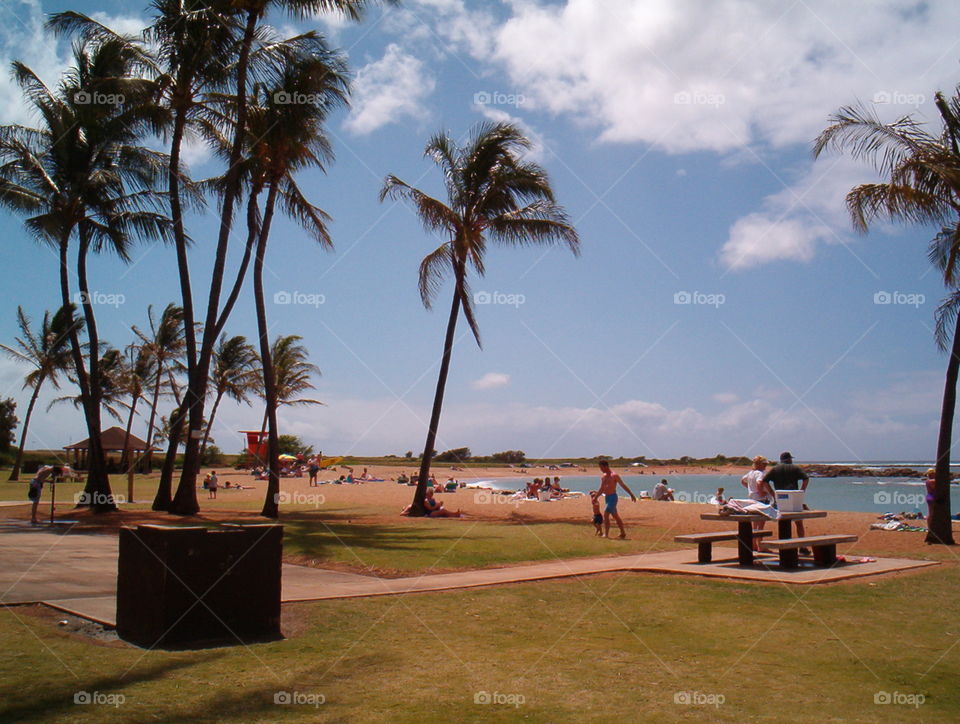 Salt Ponds State Park. Kauaii Hawaii