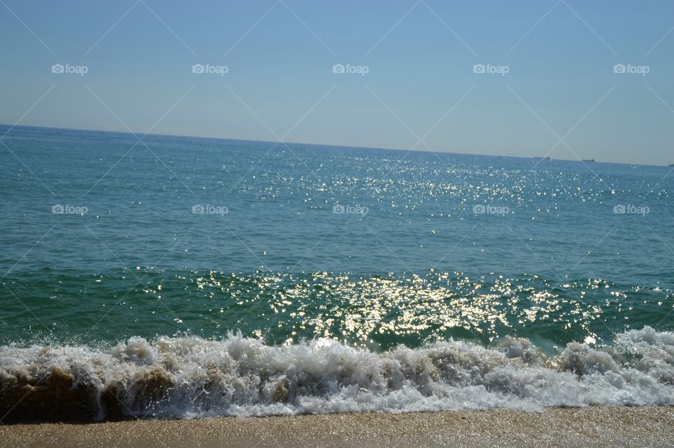 Sea