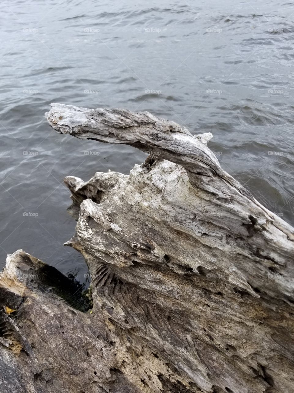 Water, Nature, No Person, Sea, Seashore