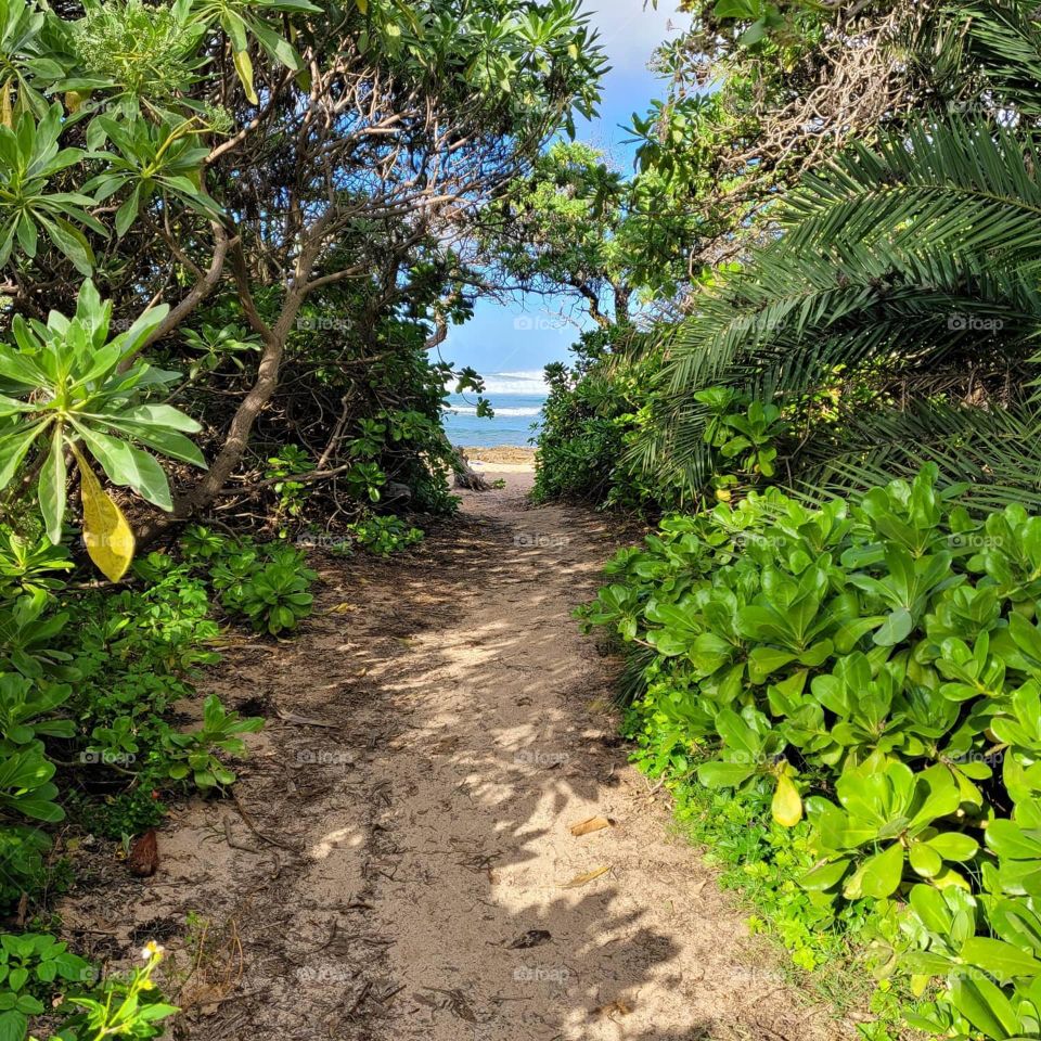 Hawaii Secret Passage