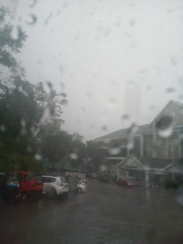 rain
