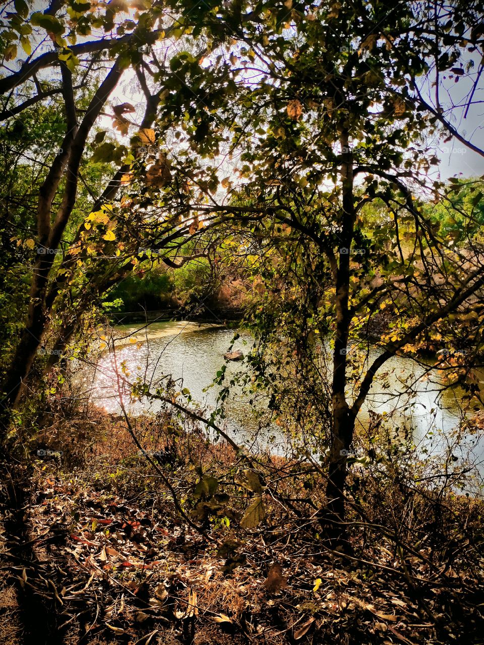 Lake, waiting for birds