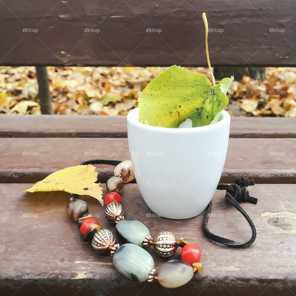 A cup with fallen leaves on the bench in the park in Autumn