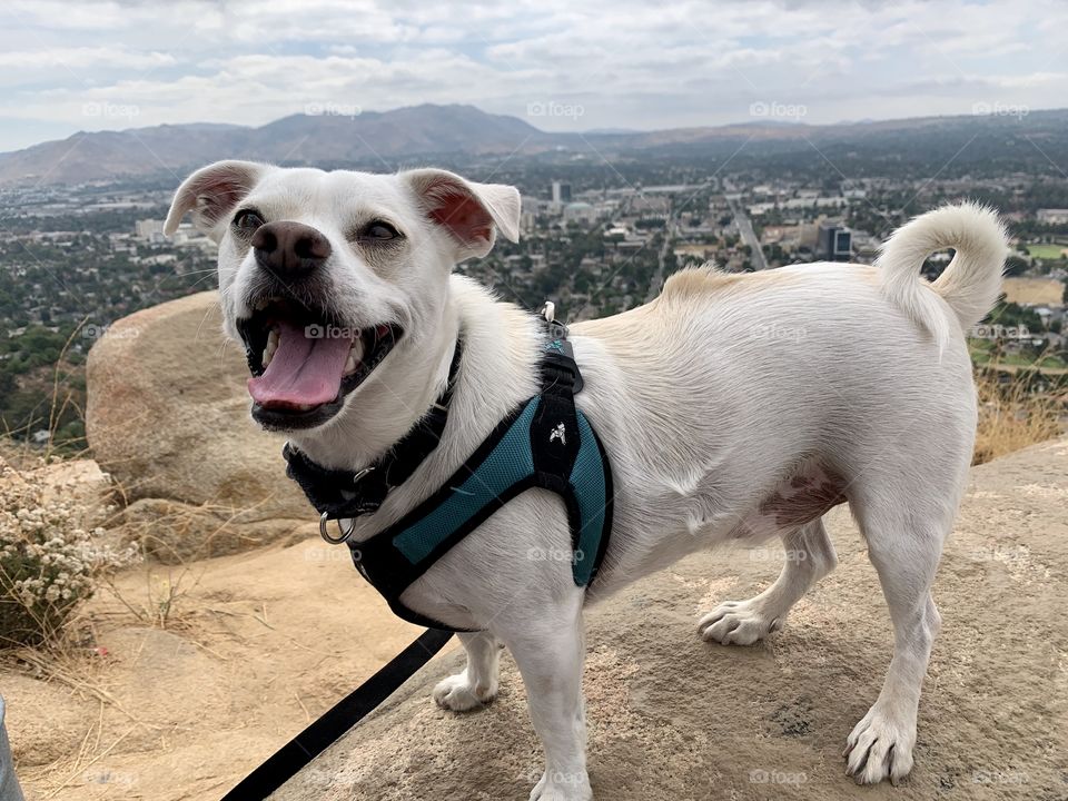 Posing at the top of the hill 